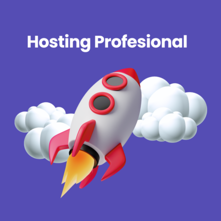 Hosting Profesional